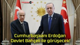 Cumhurbaşkanı Erdoğan Devlet Bahçeli ile görüşecek!