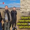 Sivas’ta nesli tehlike altındaki vaşak görüntüledi!