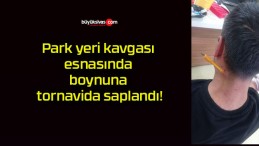 Park yeri kavgası esnasında boynuna tornavida saplandı!