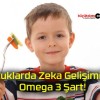 Çocuklarda Zeka Gelişimi İçin Omega 3 Şart!