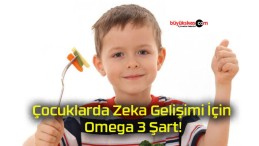 Çocuklarda Zeka Gelişimi İçin Omega 3 Şart!