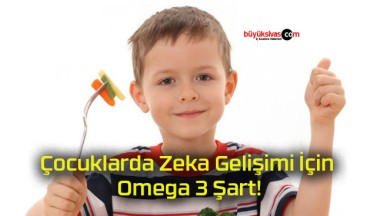 Çocuklarda Zeka Gelişimi İçin Omega 3 Şart!