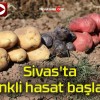 Sivas’ta renkli hasat başladı!