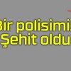 Bir Polisimiz Şehit oldu