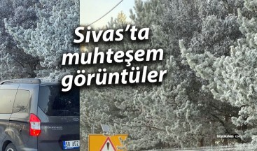 Sivas’ta Kırağı Düşen Ağaçlar Kartpostallık Görüntüler Oluşturdu