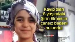 Kayıp olan 6 yaşındaki Şirin Elmas’ın cansız bedeni bulundu!