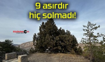 9 asırdır hiç solmadı!