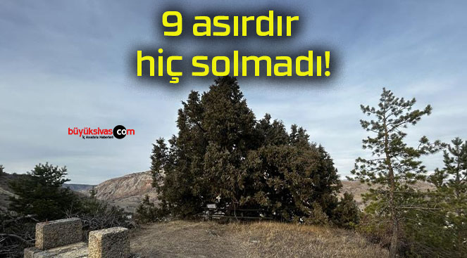 9 asırdır hiç solmadı!