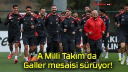 A Milli Takım’da Galler mesaisi sürüyor!