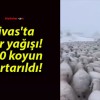 Sivas ‘ta kar yağışı! 650 koyun kurtarıldı!