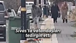 Sivas’ta vatandaşları tedirgin etti…