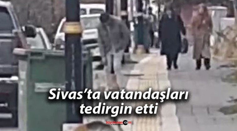 Sivas’ta vatandaşları tedirgin etti…