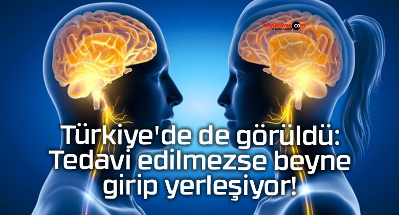 Türkiye’de de görüldü: Tedavi edilmezse beyne girip yerleşiyor!