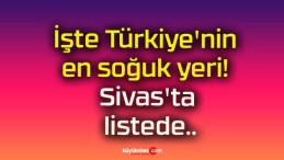 İşte Türkiye’nin en soğuk yeri! Sivas’ta listede..