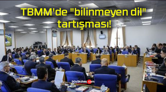 TBMM’de “bilinmeyen dil” tartışması!