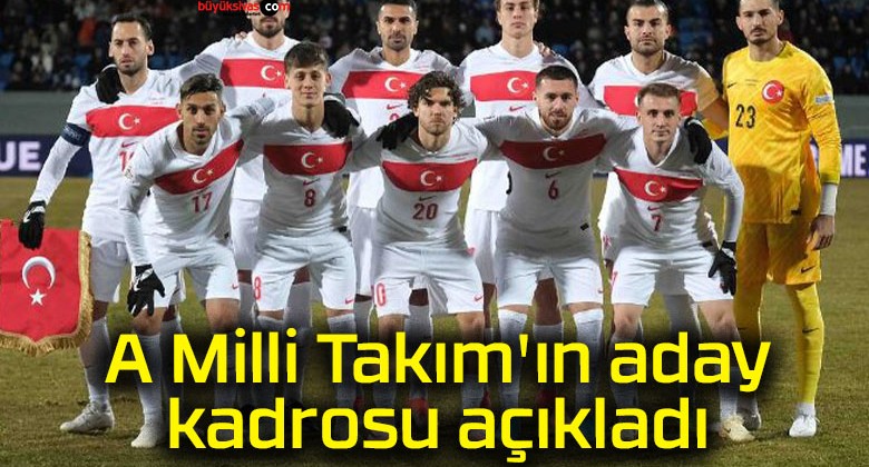 A Milli Takım’ın aday kadrosu açıkladı