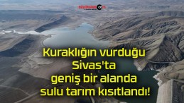 Kuraklığın vurduğu Sivas’ta geniş bir alanda sulu tarım kısıtlandı!