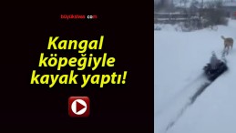 Kangal köpeğiyle kayak yaptı!