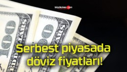 Serbest piyasada döviz fiyatları!