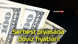 Serbest piyasada döviz fiyatları!