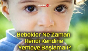 Bebekler Ne Zaman Kendi Kendine Yemeye Başlamalı?