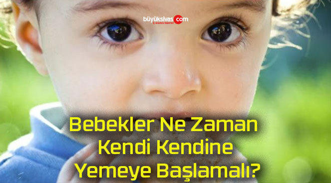 Bebekler Ne Zaman Kendi Kendine Yemeye Başlamalı?