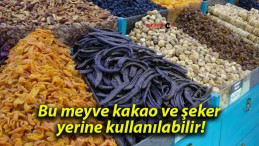 Bu meyve kakao ve şeker yerine kullanılabilir!