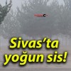 Sivas’ta yoğun sis!