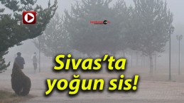 Sivas’ta yoğun sis!