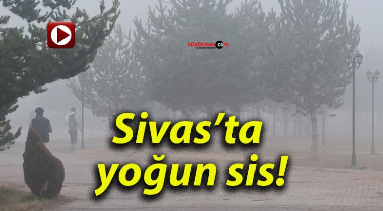 Sivas’ta yoğun sis!