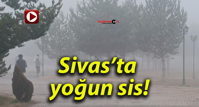 Sivas’ta yoğun sis!