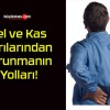 Bel ve Kas Ağrılarından Korunmanın Yolları!