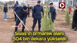 Sivas’ın ormanlık alanı 504 bin dekara yükseldi!