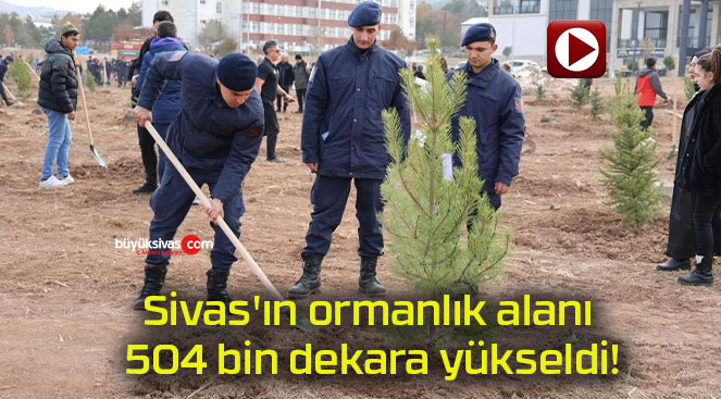 Sivas’ın ormanlık alanı 504 bin dekara yükseldi!