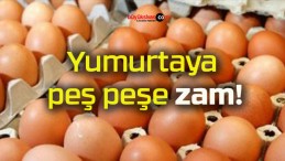 Yumurtaya peş peşe zam!