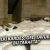 Esenyurt Mahallesi’nde Sıcak Karşılaşma: Tilki ile Sohbet!