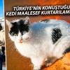 Türkiye’nin konuştuğu kedi hayatını kaybetti