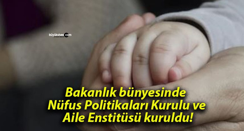 Bakanlık bünyesinde Nüfus Politikaları Kurulu ve Aile Enstitüsü kuruldu!