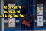 Marketin kapısına at bağladılar