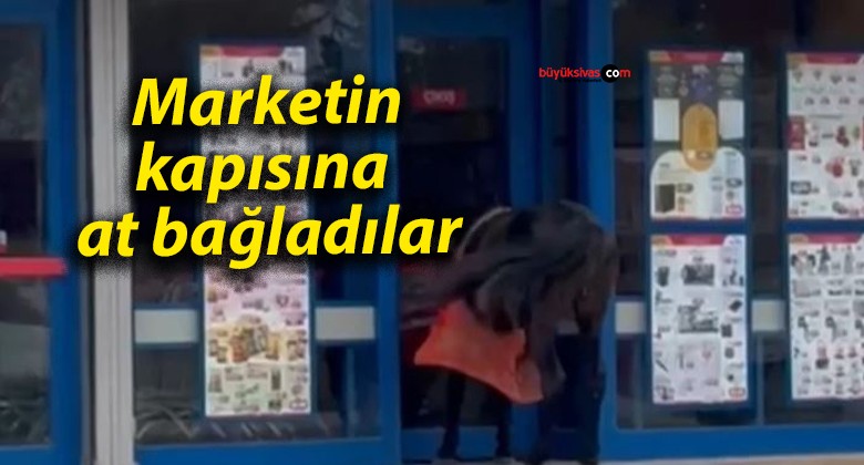 Marketin kapısına at bağladılar