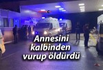 Annesini kalbinden vurup öldürdü