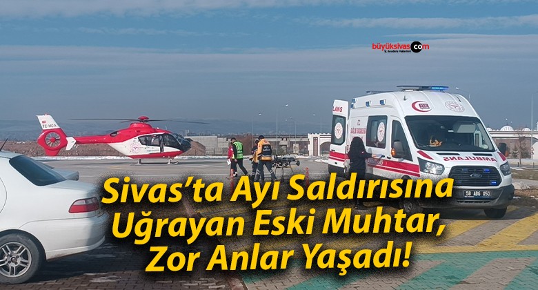 Sivas’ta Ayı Saldırısına Uğrayan Eski Muhtar, Zor Anlar Yaşadı!