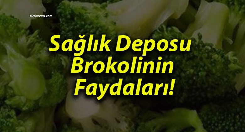 Sağlık Deposu Brokolinin Faydaları!