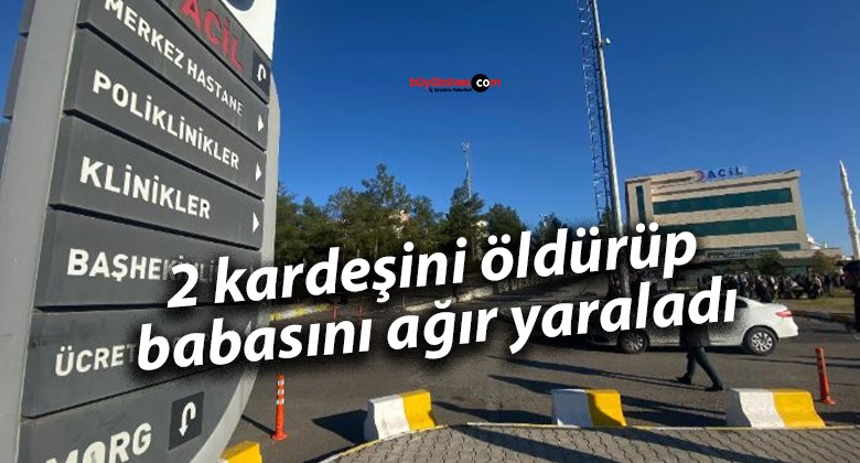 2 kardeşini öldürüp babasını ağır yaralı