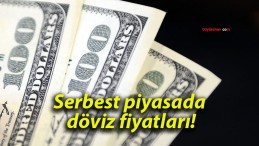 Serbest piyasada döviz fiyatları!