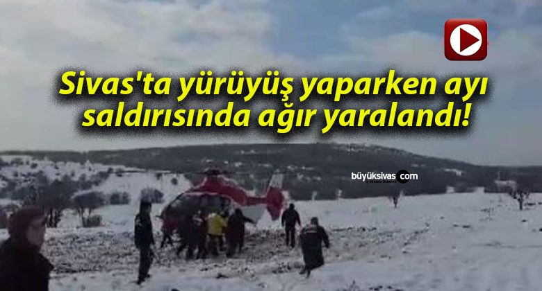 Sivas’ta yürüyüş yaparken ayı saldırısında ağır yaralandı!