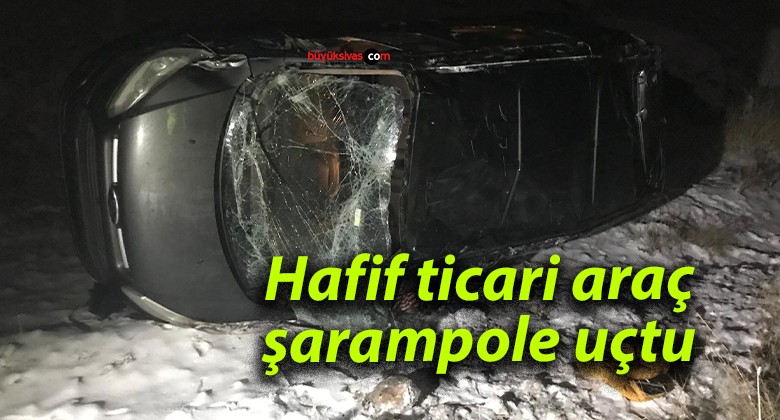 Hafif ticari araç şarampole uçtu