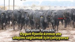 İbrahim Yumaklı: Uygun fiyatla kırmızı ete ulaşımı sağlamak için çalışıyoruz