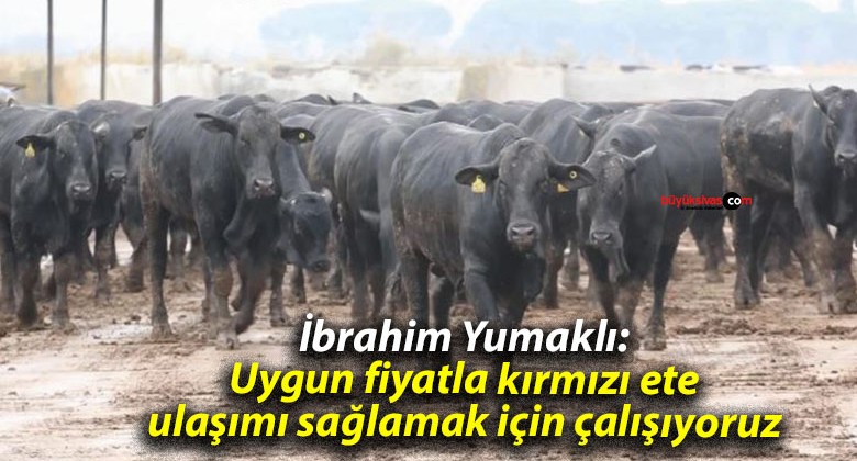 İbrahim Yumaklı: Uygun fiyatla kırmızı ete ulaşımı sağlamak için çalışıyoruz