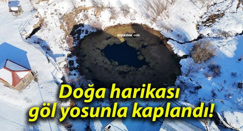 Doğa harikası göl yosunla kaplandı!